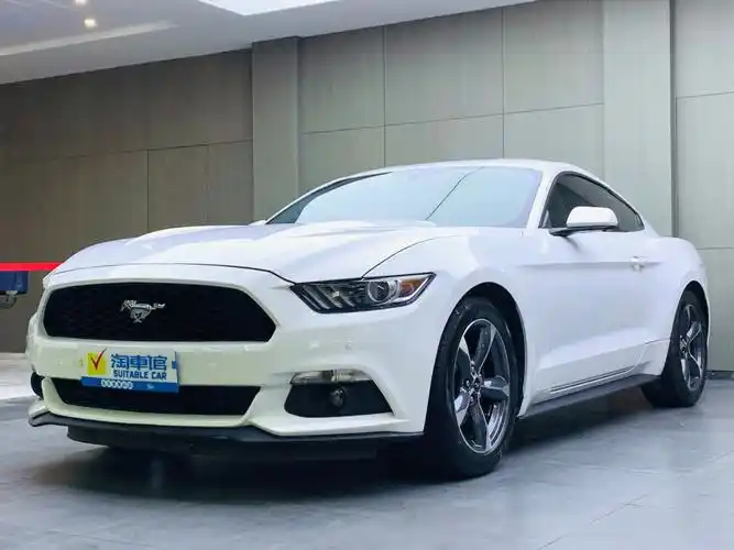 18w预算开两门小跑车福特野马