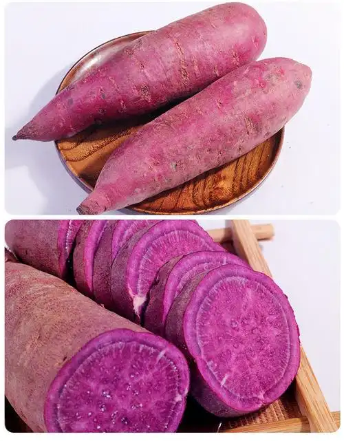 香甜软糯现挖新鲜紫薯紫罗兰紫红薯沙地紫薯代餐粗粮蔬菜批发小紫薯