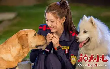 hero dog Ⅲ导演:袁晓满 编剧:吴玉江 神犬小七3演员表:姜潮,宋妍霏