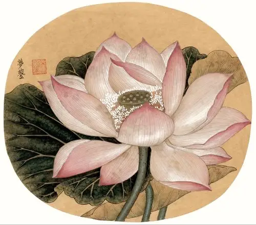 写美篇吴梦鋆工笔画临摹作品欣赏 宋元花鸟   地址:虹口区中山北一路