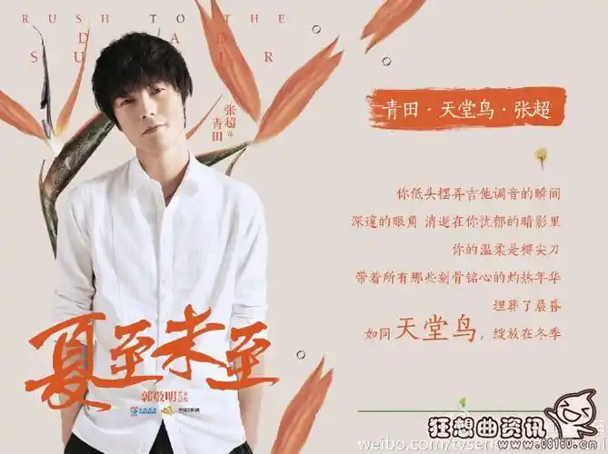 夏至未至电视剧讲了一件什么事夏至未夏电视剧演员表