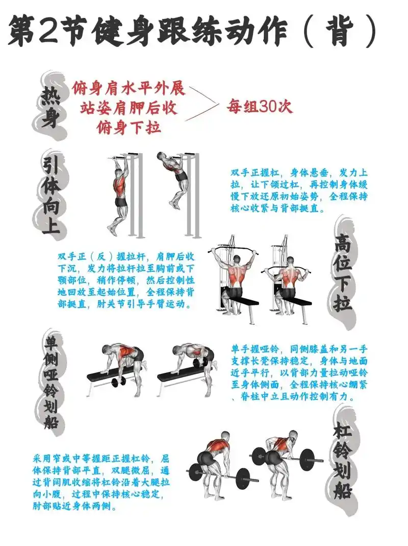 背部训练计划动作要领都在图上了, - 抖音
