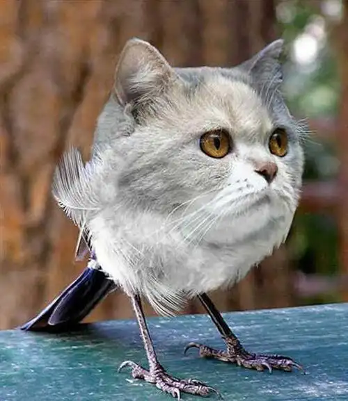 【引用】恶搞后果很严重 哈哈.(ps杰作)