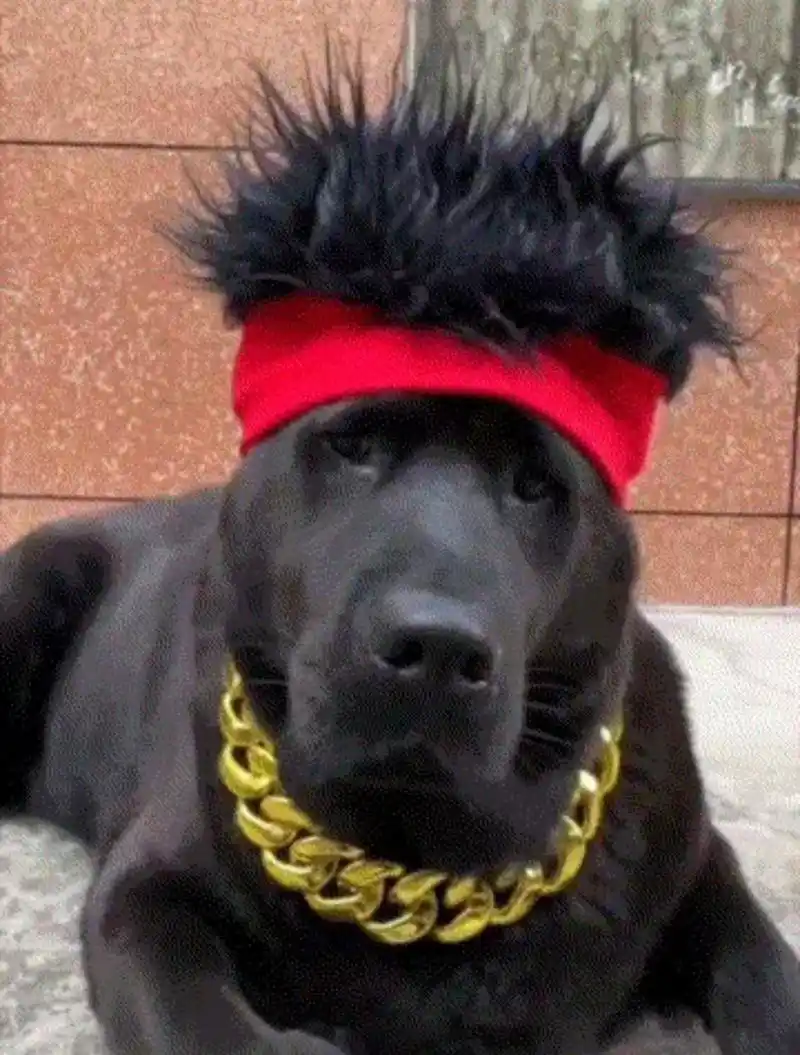 看得出来,这个"精神小伙",好像很有钱的样子.