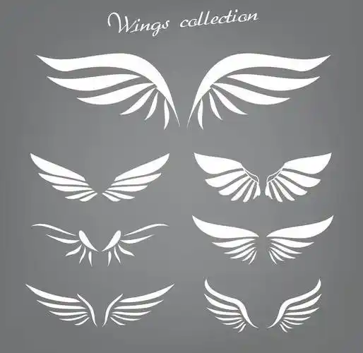 天使翅膀简笔画 小天使翅膀简笔画绘画图片