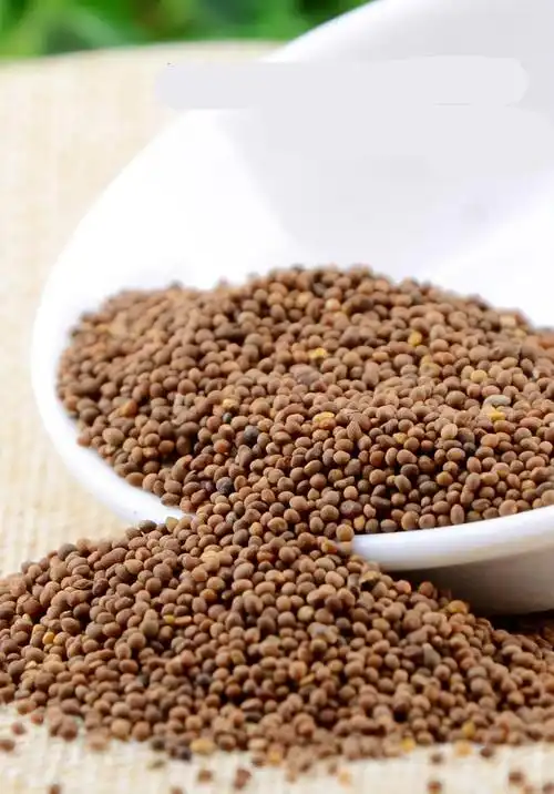 中药材 菟丝子500g菟丝子菟丝子兔丝子泡【图片 价格 品牌 报价】