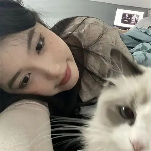抱宠物猫猫363436373039甜妹女生头像