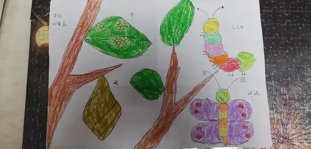 孩子们,了解了毛毛虫变成蝴蝶的生长过程,快来把它画下来吧!