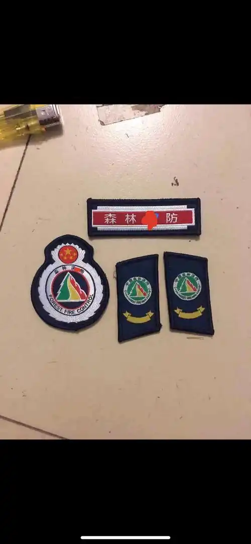 森林消防救援臂章领章肩牌sf领章胸章森林防火臂章胸标定做帽徽