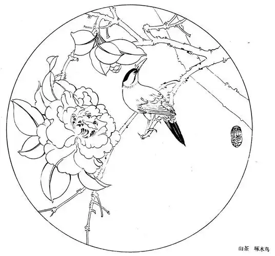 素材| 一组好看的花鸟圆扇白描线稿