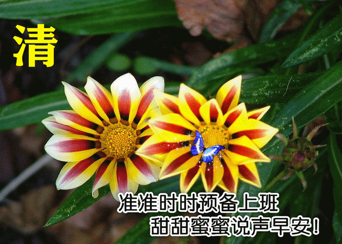 2021年7月26日星期一早上好全新版早安问候动态图带字夏天最美早安