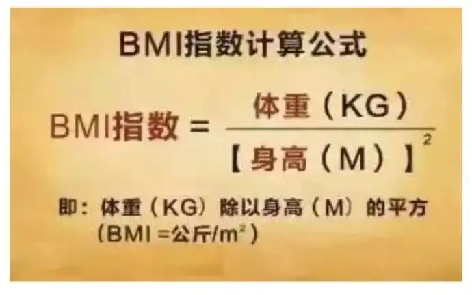 全球54万人"胖"出癌症,你的体重超标了吗?