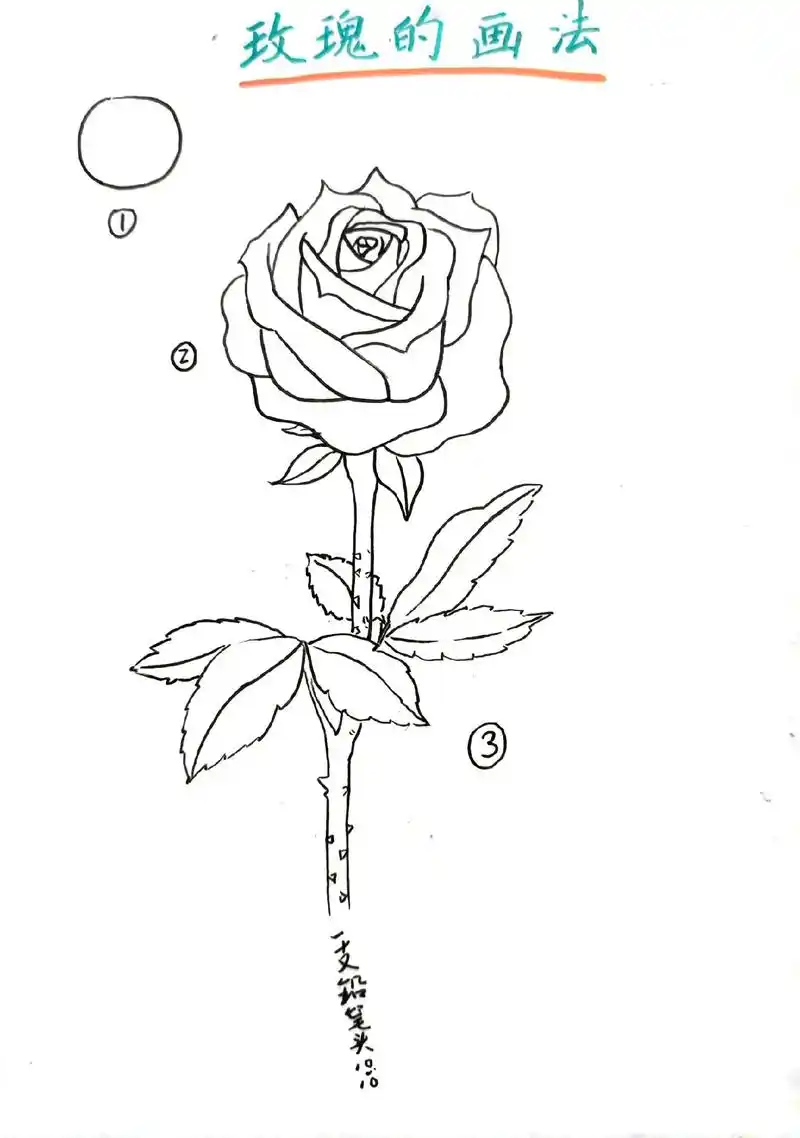 炒鸡简单的玫瑰花画法!玫瑰花教程 1.首先,画一个梨形的花苞 - 抖音