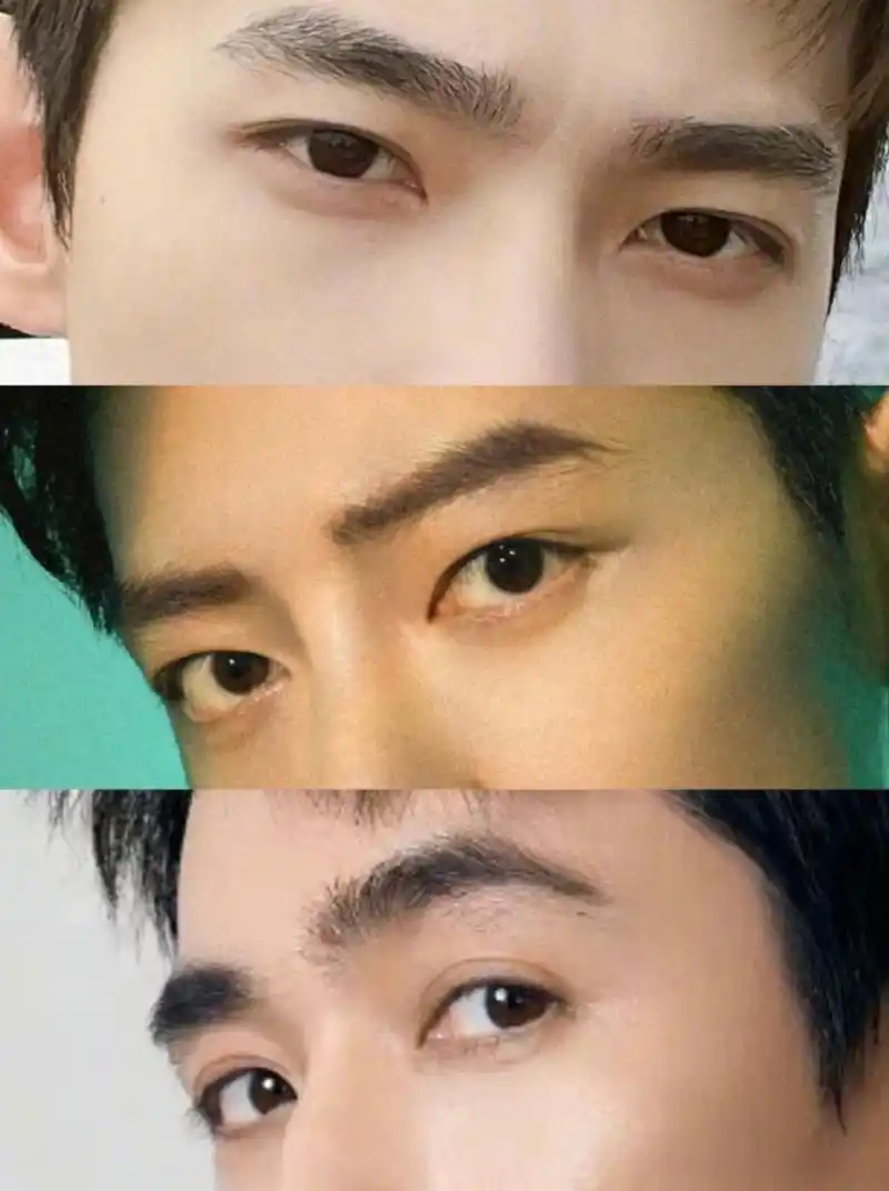 成都双眼皮# 看眼睛猜明星,看看你能猜对几个?#双眼皮##颜值##肖战