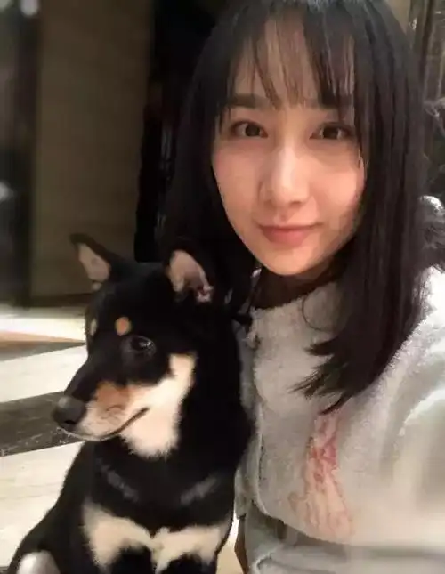 雷佳音的老婆简介(雷佳音老婆神秘)(2)