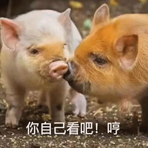 抖音沙雕带字搞笑表情包_抖音沙雕带字搞笑表情包大全-优基地