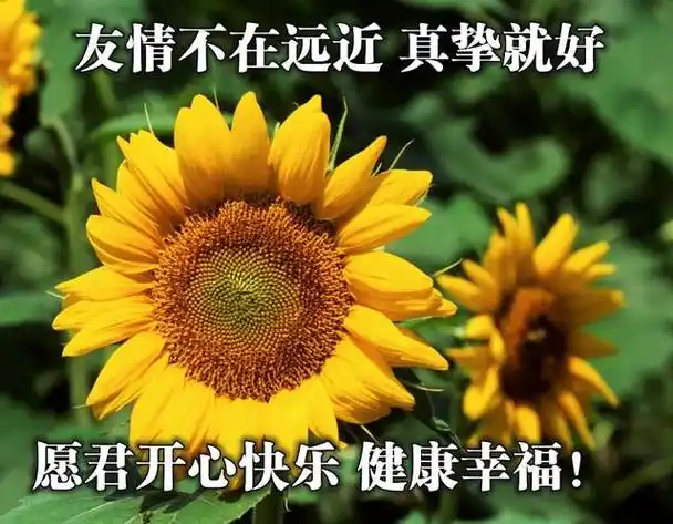 早上好朋友,最新漂亮早上好问候祝福语,创意好看的早安问候语