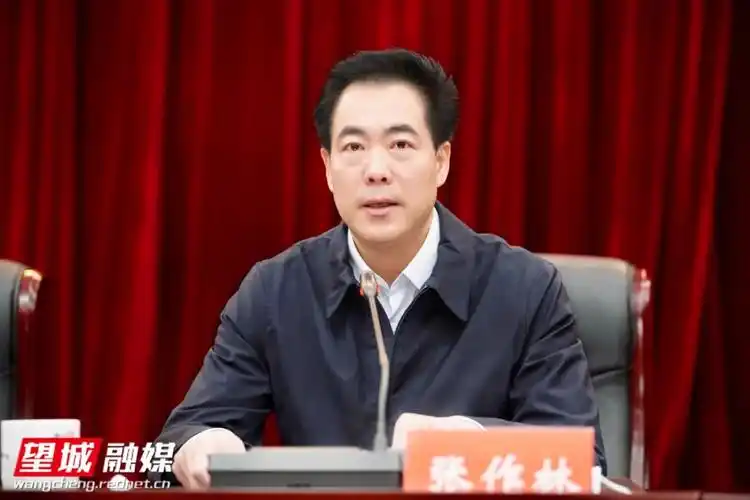 以林长制促进林长治望城区召开全面推行林长制动员会