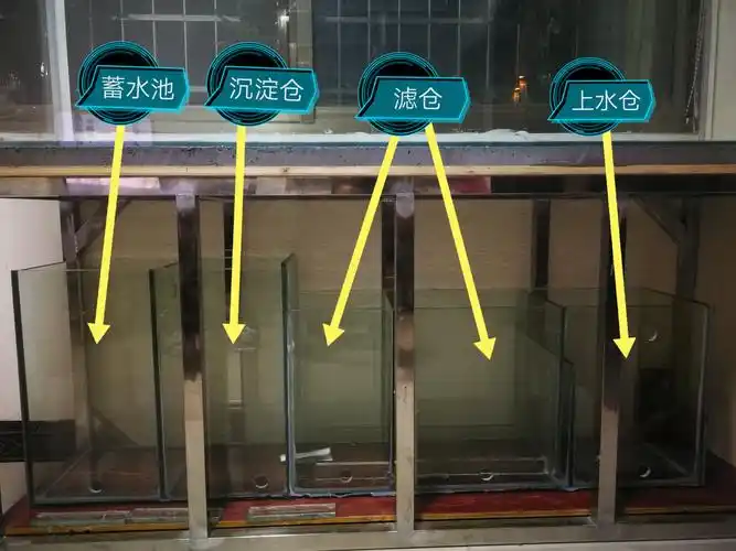 新入坑草缸跪求水泵流量谢谢