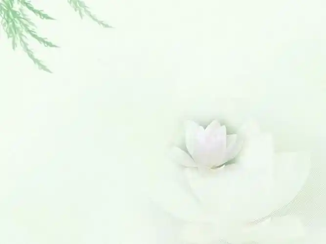 ppt唯美淡雅背景