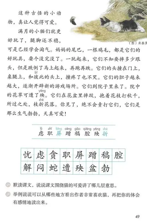 四年级下册第13课:《猫》