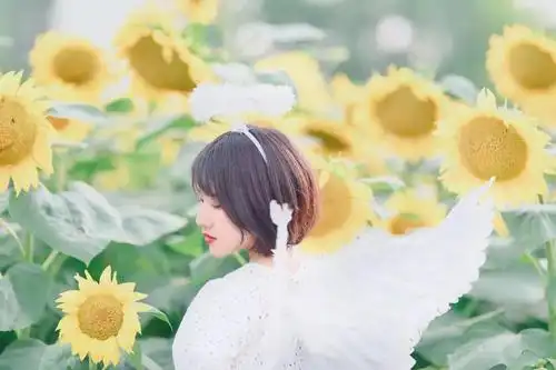 生如夏花—向日葵女孩