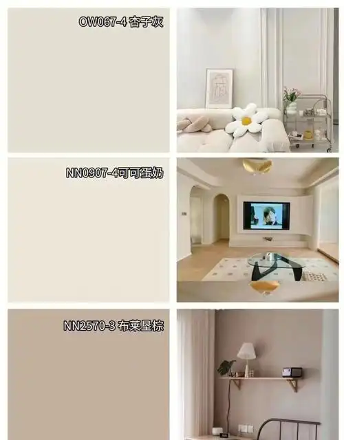 30款网红胶漆配色配套色浆250毫升装