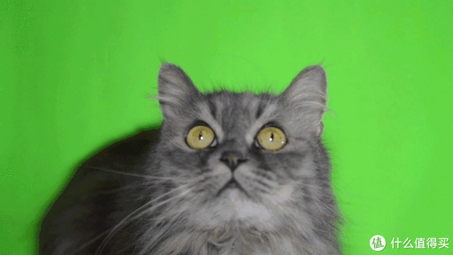 2020年你还不会做绿幕特效这4步基础技巧要点了解一下