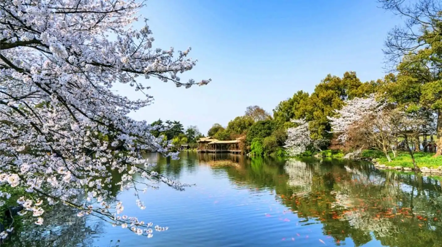 杭州西湖,中国著名的风景名胜区,位于浙江省杭州市中心.