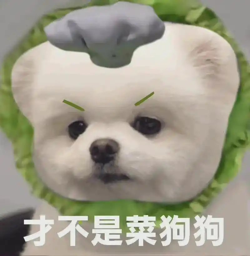 沙雕表情|菜狗表情包 第三弹