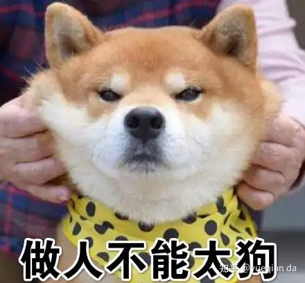 女性与狗难兄难友父权文化对女性与狗的驯化和奴役