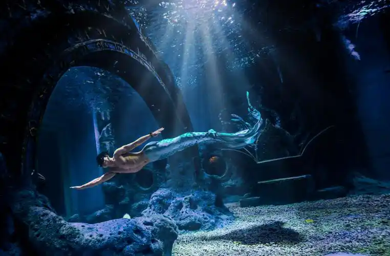 水下摄影玩美人鱼的男孩子好帅啊