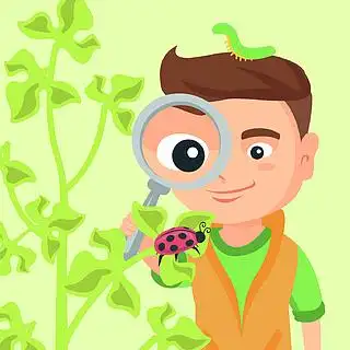 的好奇小男孩探索瓢虫矢量卡通插画方形的布局看通过放大镜的男孩瓢虫