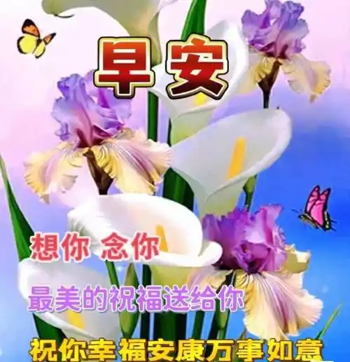 精选暖心的早上好问候语!愿牵挂的人平安,幸福!_生活_阳光_天都