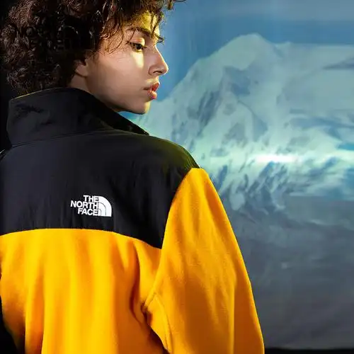 thenorthface北面1995denali抓绒夹克潮牌撞色icon上新4ud2抓绒衣