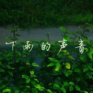 下雨的声音