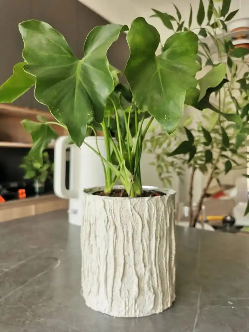 一块钱,奶粉罐秒变艺术花盆 有孩子的家庭,家里的奶粉罐别扔了,看看我