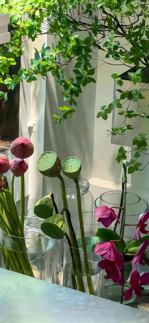 淡雅美丽363436373039荷花壁纸