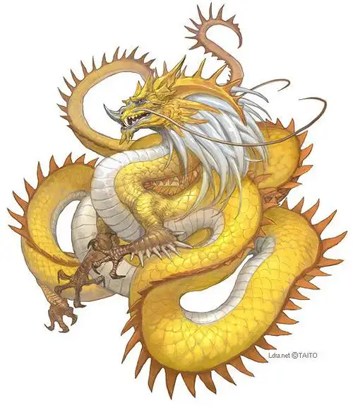 中国龙