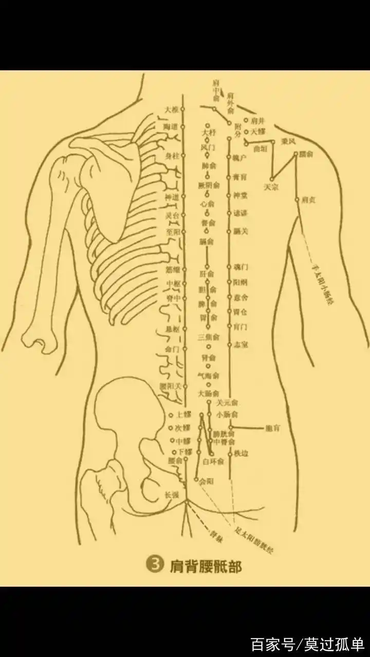 "气"是中医的灵魂