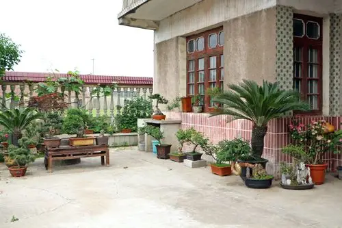 农户庭院绿化,美化