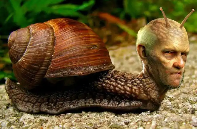 蜗牛界的釜山行丧尸来袭告诉孩子千万别碰这些蜗牛哦