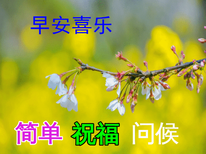 1月29日最新早上好日常祝福语大全,早晨好日常问候语录新版!
