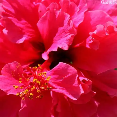 原图欣赏-太平洋摄影部落