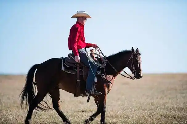 民族都与马背有着密切的联系,其中最著名的当属蒙古族和哈萨克族等