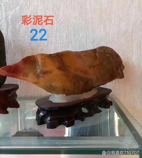 新疆彩泥石,鸭嘴兽