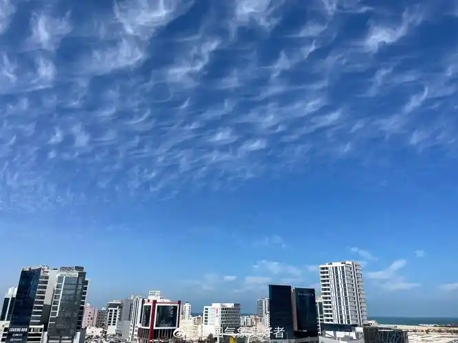 今天很多地方出现了钩卷云