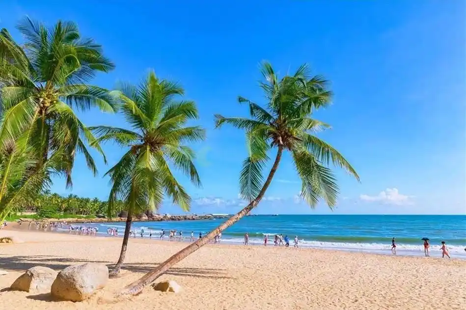 来海南千万别错过这篇攻略_三亚房产_海南房产网