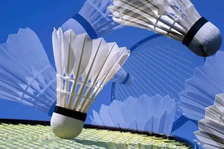 重提11分制羽毛球比赛要提速了