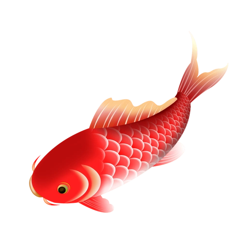 本周素材④ |117款中国风手绘水彩鲤鱼锦鲤国潮插画古典吉祥鱼素材